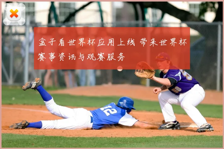 盒子看世界杯应用上线 带来世界杯赛事资讯与观赛服务
