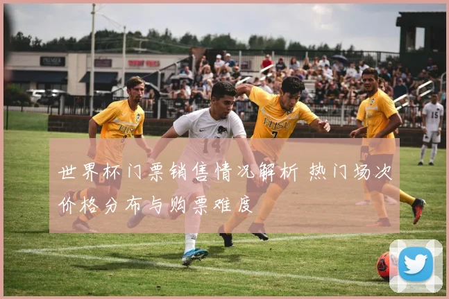 世界杯门票销售情况解析 热门场次价格分布与购票难度